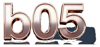 b 05 logo